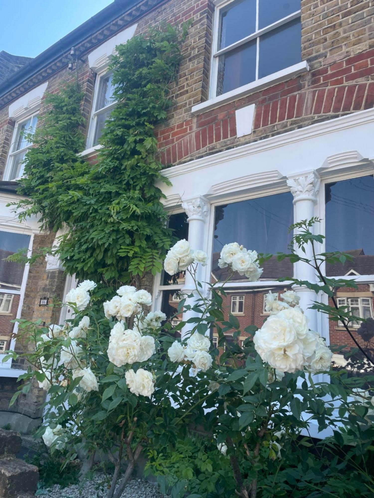 Traditional English 4 Bedroom Home In Greenwich Plumstead  Exterior photo